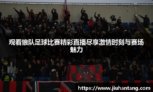龙珠体育直播